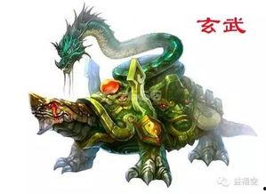 最新爆料四大神兽视频,最新视频曝光震撼来袭！  第3张