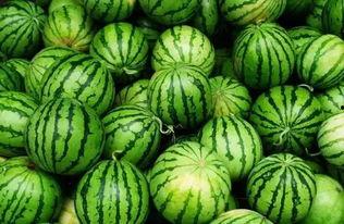 最新免费吃瓜群,畅享热门资讯，轻松成为娱乐圈知情者  第2张