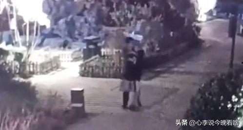 老街最新爆料视频播放,揭秘视频中的历史角落与生活变迁 第3张 老街最新爆料视频播放,揭秘视频中的历史角落与生活变迁 第3张